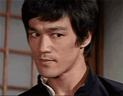 Comparing AI Summarization Models: Bruce Lee Edition
